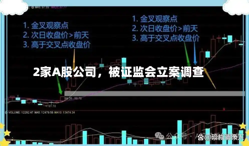 2家A股公司	，被证监会立案调查-第3张图片
