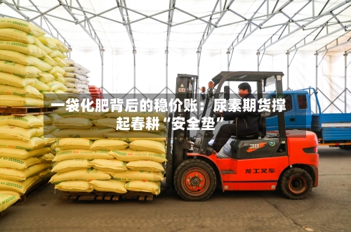 一袋化肥背后的稳价账：尿素期货撑起春耕“安全垫”-第2张图片