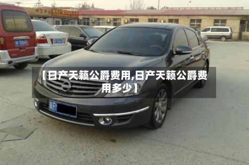 【日产天籁公爵费用,日产天籁公爵费用多少】-第2张图片