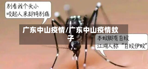 广东中山疫情/广东中山疫情蚊子-第2张图片