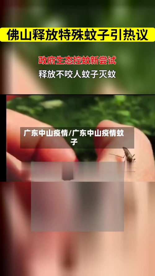 广东中山疫情/广东中山疫情蚊子
