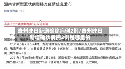 贵州昨日新增确诊病例2例/贵州昨日新增确诊病例2例是哪里的-第2张图片