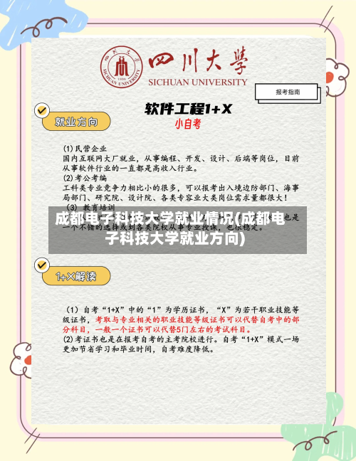 成都电子科技大学就业情况(成都电子科技大学就业方向)