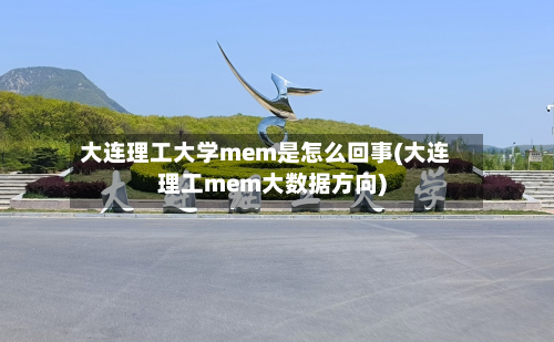 大连理工大学mem是怎么回事(大连理工mem大数据方向)