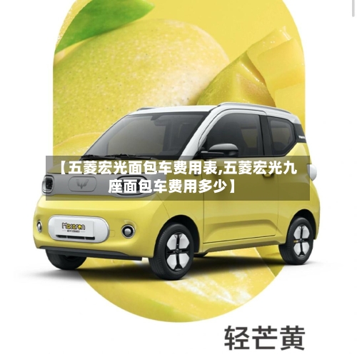 【五菱宏光面包车费用表,五菱宏光九座面包车费用多少】