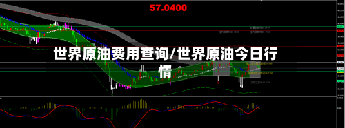 世界原油费用查询/世界原油今日行情-第2张图片