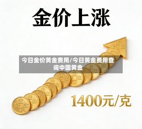 今日金价黄金费用/今日黄金费用查询中国黄金-第2张图片