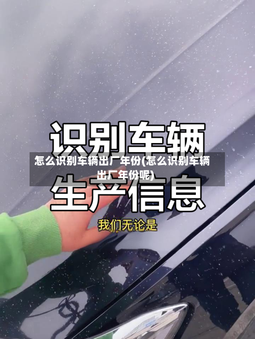 怎么识别车辆出厂年份(怎么识别车辆出厂年份呢)