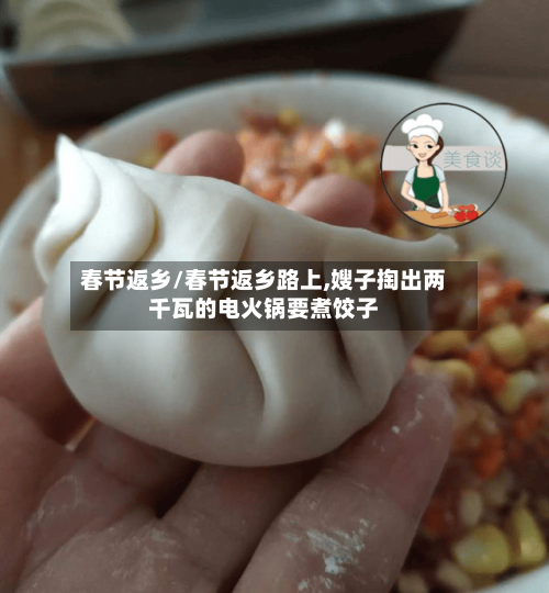 春节返乡/春节返乡路上,嫂子掏出两千瓦的电火锅要煮饺子
