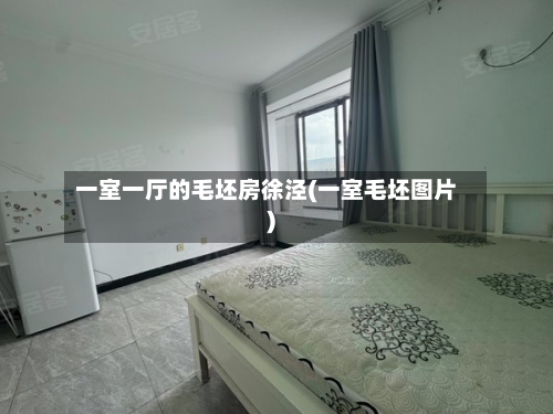 一室一厅的毛坯房徐泾(一室毛坯图片)-第2张图片