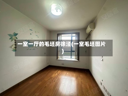 一室一厅的毛坯房徐泾(一室毛坯图片)