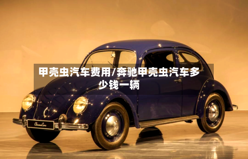 甲壳虫汽车费用/奔驰甲壳虫汽车多少钱一辆-第2张图片