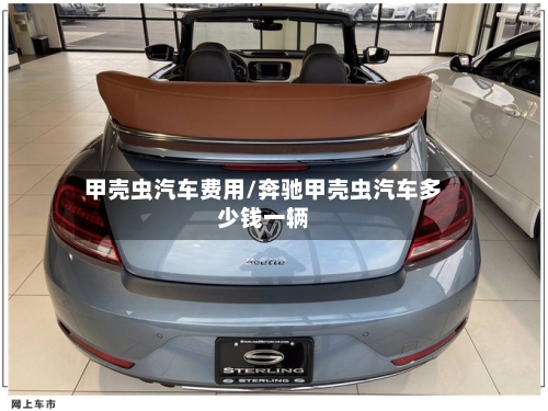 甲壳虫汽车费用/奔驰甲壳虫汽车多少钱一辆