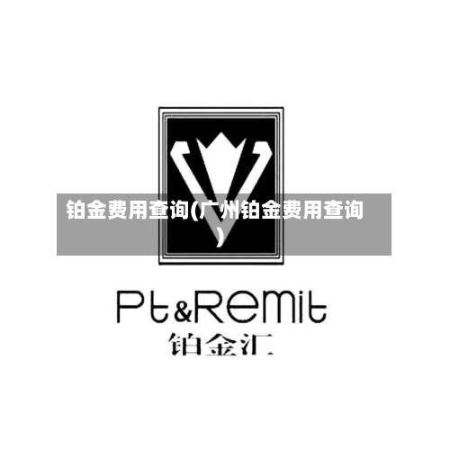 铂金费用查询(广州铂金费用查询)-第3张图片