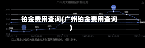 铂金费用查询(广州铂金费用查询)-第2张图片
