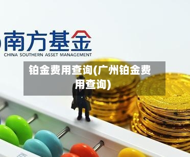 铂金费用查询(广州铂金费用查询)