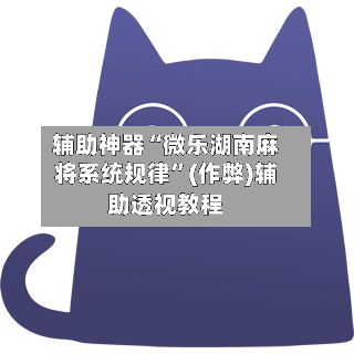辅助神器“微乐湖南麻将系统规律”(作弊)辅助透视教程