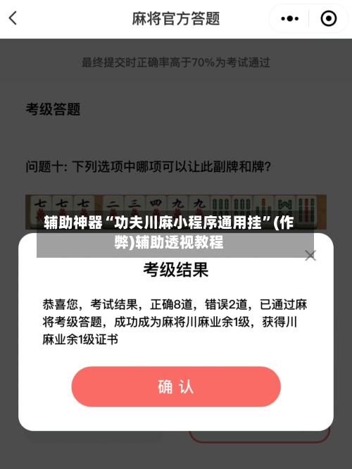 辅助神器“功夫川麻小程序通用挂”(作弊)辅助透视教程