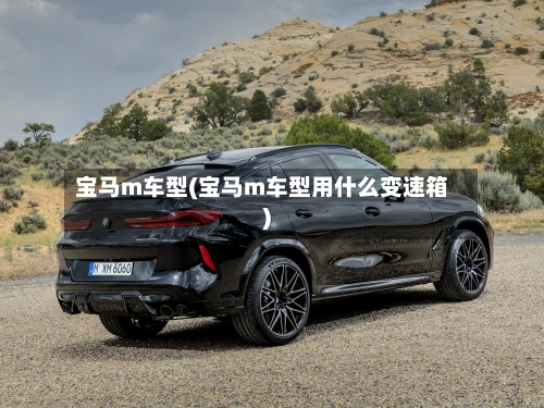 宝马m车型(宝马m车型用什么变速箱)-第3张图片
