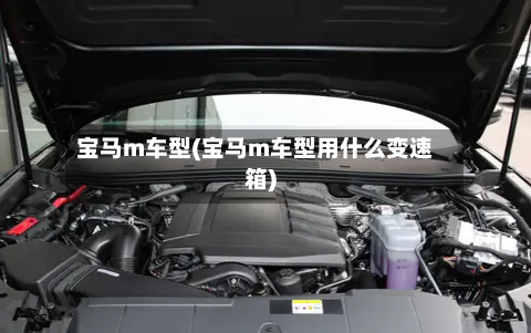 宝马m车型(宝马m车型用什么变速箱)