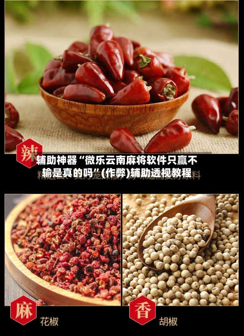 辅助神器“微乐云南麻将软件只赢不输是真的吗”(作弊)辅助透视教程