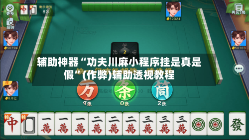 辅助神器“功夫川麻小程序挂是真是假”(作弊)辅助透视教程-第3张图片