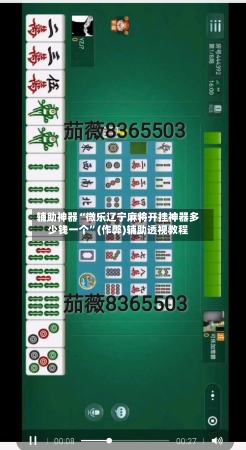 辅助神器“微乐辽宁麻将开挂神器多少钱一个”(作弊)辅助透视教程