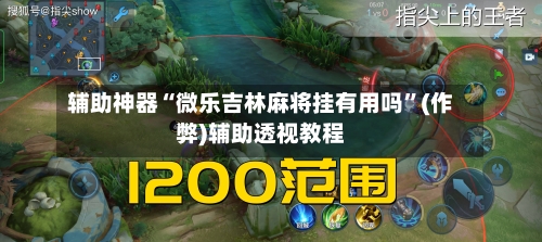 辅助神器“微乐吉林麻将挂有用吗	”(作弊)辅助透视教程-第3张图片