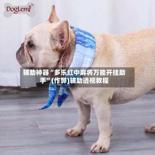 辅助神器“多乐红中麻将万能开挂助手”(作弊)辅助透视教程