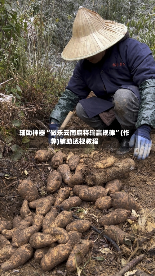 辅助神器“微乐云南麻将输赢规律	”(作弊)辅助透视教程-第2张图片