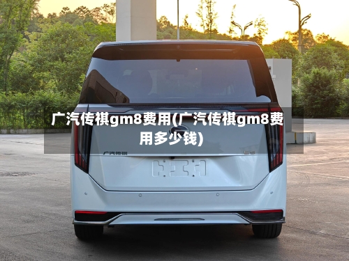 广汽传祺gm8费用(广汽传祺gm8费用多少钱)-第2张图片