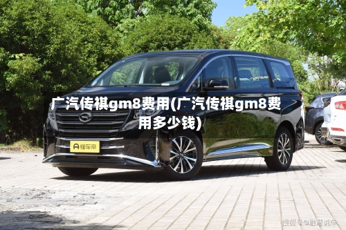 广汽传祺gm8费用(广汽传祺gm8费用多少钱)-第3张图片