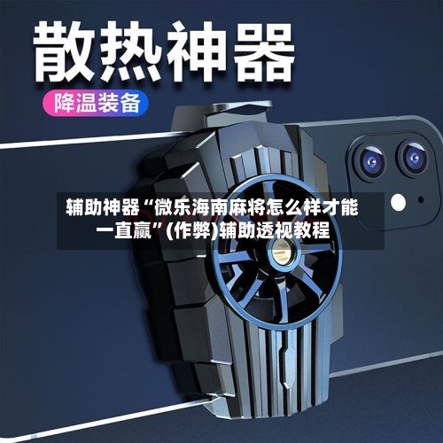 辅助神器“微乐海南麻将怎么样才能一直赢”(作弊)辅助透视教程
