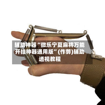 辅助神器“微乐宁夏麻将万能开挂神器通用版”(作弊)辅助透视教程-第3张图片
