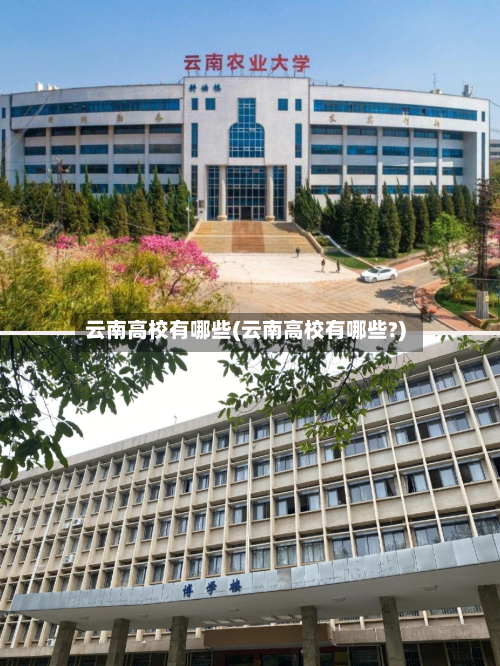 云南高校有哪些(云南高校有哪些?)
