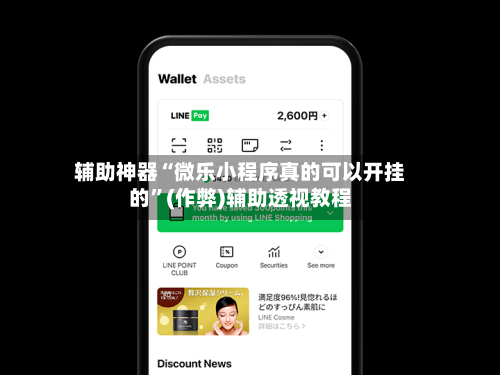 辅助神器“微乐小程序真的可以开挂的	”(作弊)辅助透视教程-第3张图片