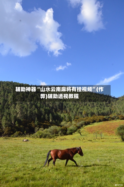 辅助神器“山水云南麻将有挂视频”(作弊)辅助透视教程