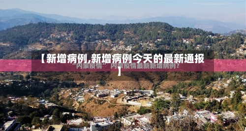 【新增病例,新增病例今天的最新通报】-第2张图片