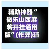 辅助神器“微乐山西麻将开挂通用版	”(作弊)辅助透视教程-第3张图片