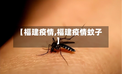 【福建疫情,福建疫情蚊子】