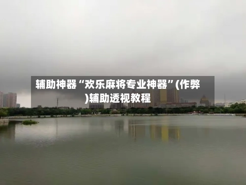 辅助神器“欢乐麻将专业神器”(作弊)辅助透视教程