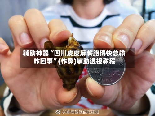 辅助神器“四川皮皮麻将跑得快总输咋回事”(作弊)辅助透视教程