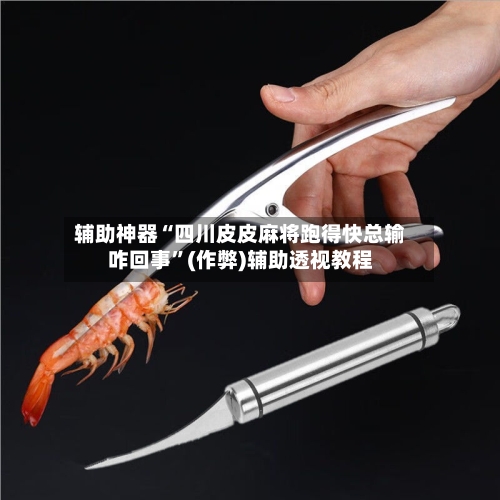 辅助神器“四川皮皮麻将跑得快总输咋回事”(作弊)辅助透视教程-第3张图片