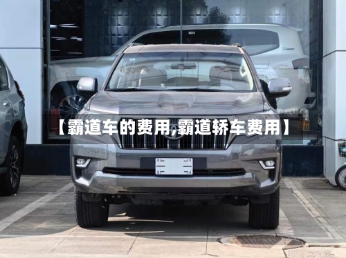 【霸道车的费用,霸道轿车费用】-第2张图片