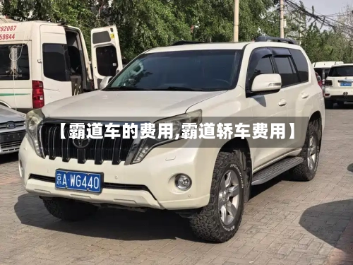 【霸道车的费用,霸道轿车费用】