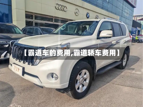 【霸道车的费用,霸道轿车费用】-第3张图片