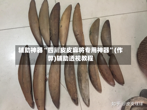 辅助神器“四川皮皮麻将专用神器	”(作弊)辅助透视教程-第3张图片