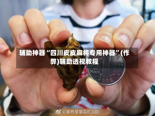 辅助神器“四川皮皮麻将专用神器”(作弊)辅助透视教程-第2张图片