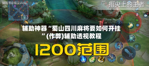 辅助神器“蜀山四川麻将要如何开挂”(作弊)辅助透视教程-第2张图片