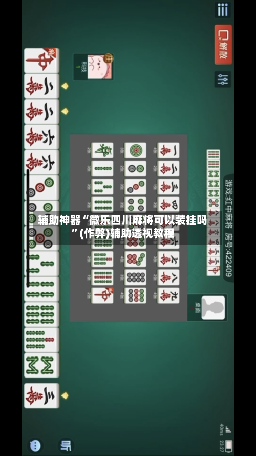 辅助神器“微乐四川麻将可以装挂吗	”(作弊)辅助透视教程-第3张图片
